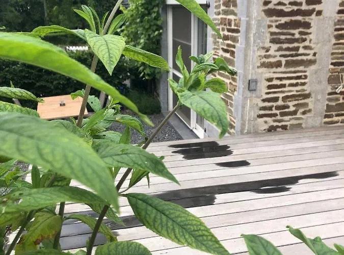 Ferienhaus Marie-henriette